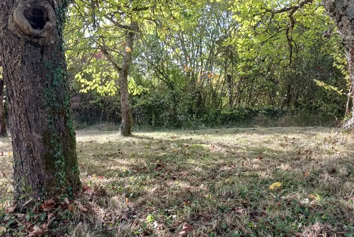 Maison individuelle de 86 m² avec dépendances à Premery, terrain de 2085 m² 