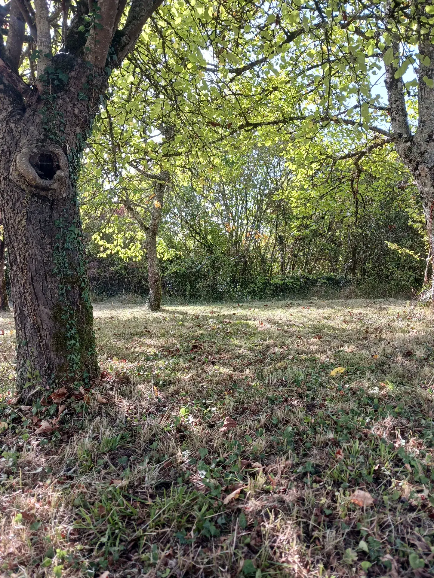 Maison individuelle de 86 m² avec dépendances à Premery, terrain de 2085 m² 