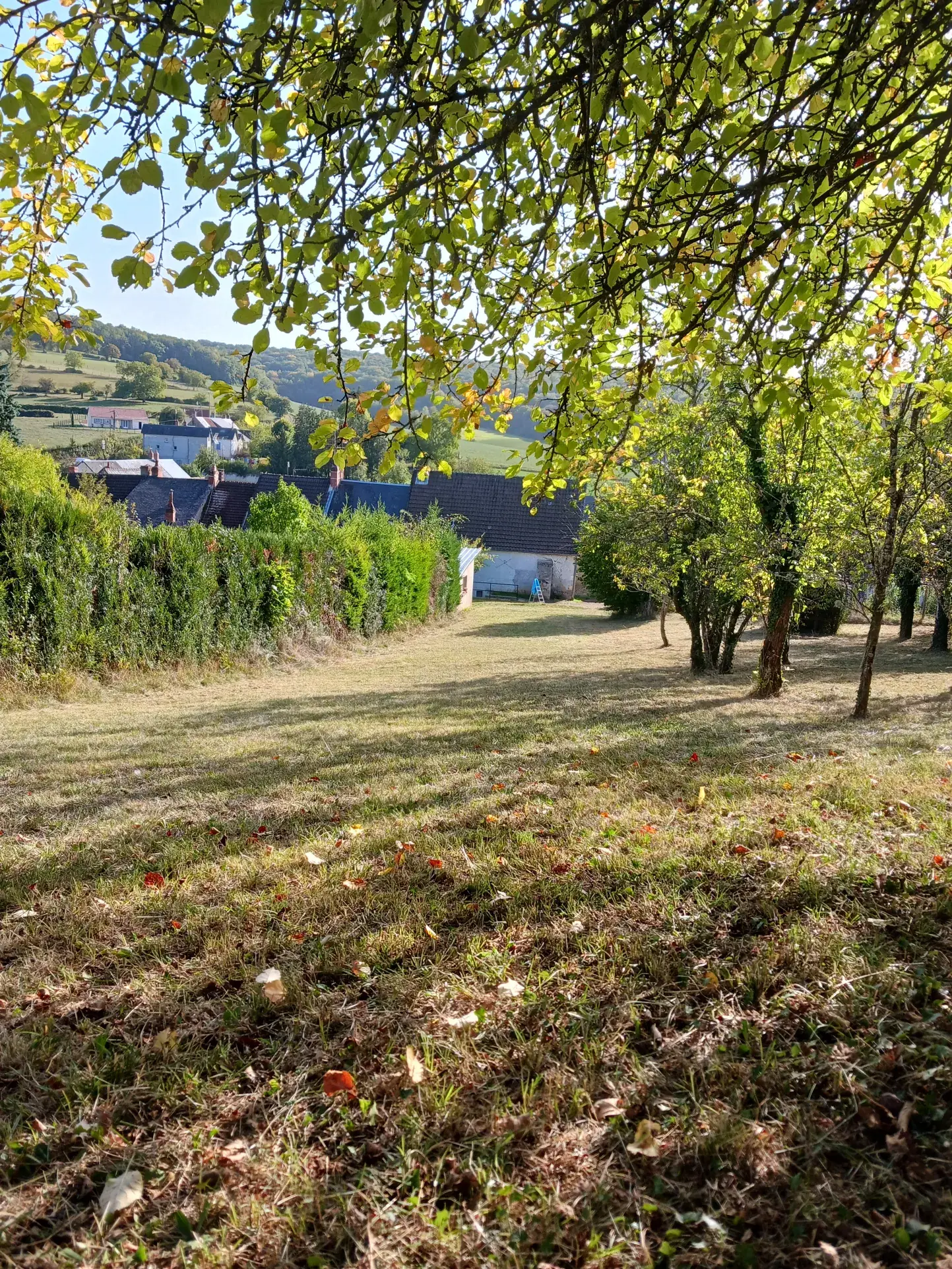 Maison individuelle de 86 m² avec dépendances à Premery, terrain de 2085 m² 