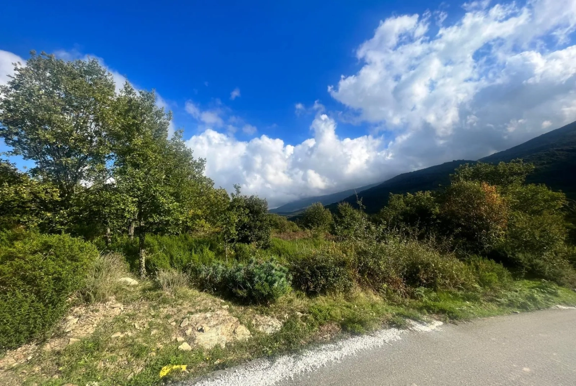 Terrains constructibles à Murato - Emplacement privilégié et cadre arboré 