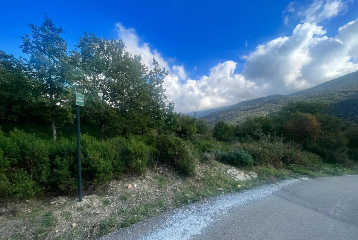 Terrains constructibles à Murato - Emplacement privilégié et cadre arboré 