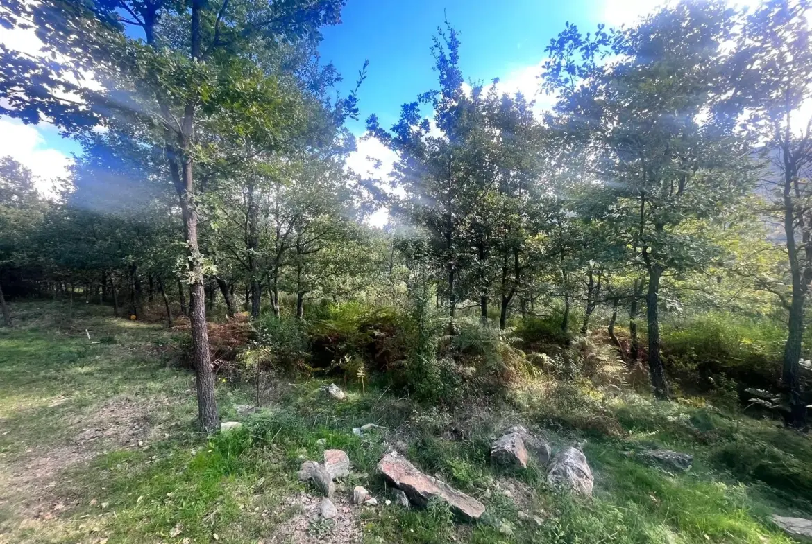 Terrains constructibles à Murato - Emplacement privilégié et cadre arboré 