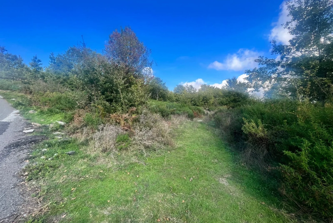 Terrains constructibles à Murato - Emplacement privilégié et cadre arboré 