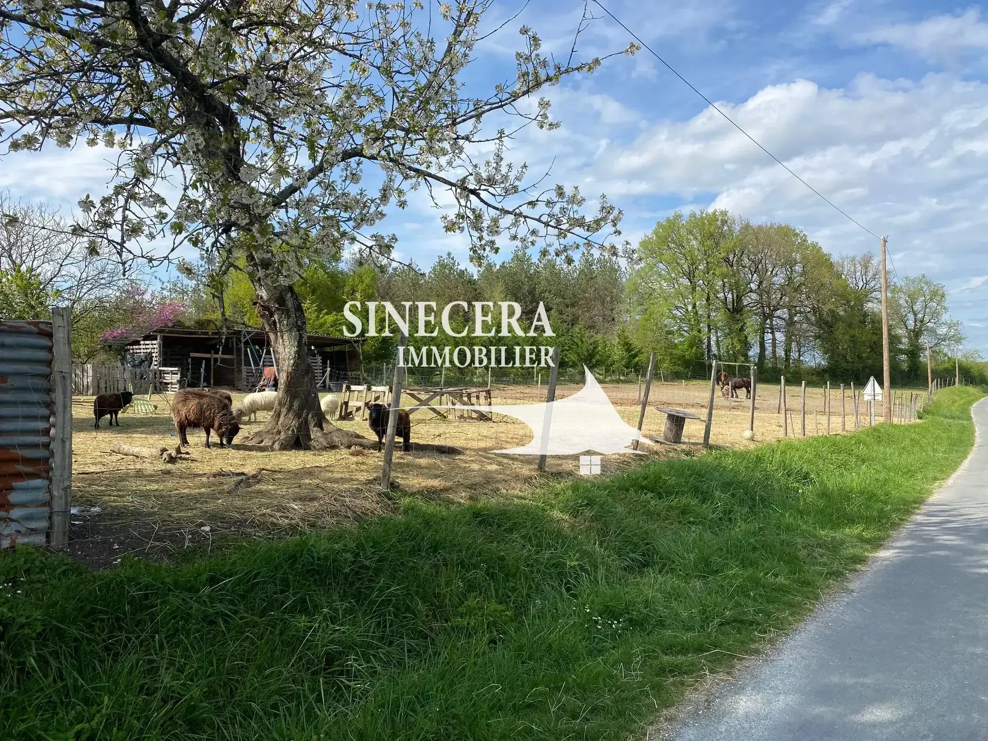 Ferme en pierre avec grange attenante à vendre à Celles, 4410 m² de terrain 