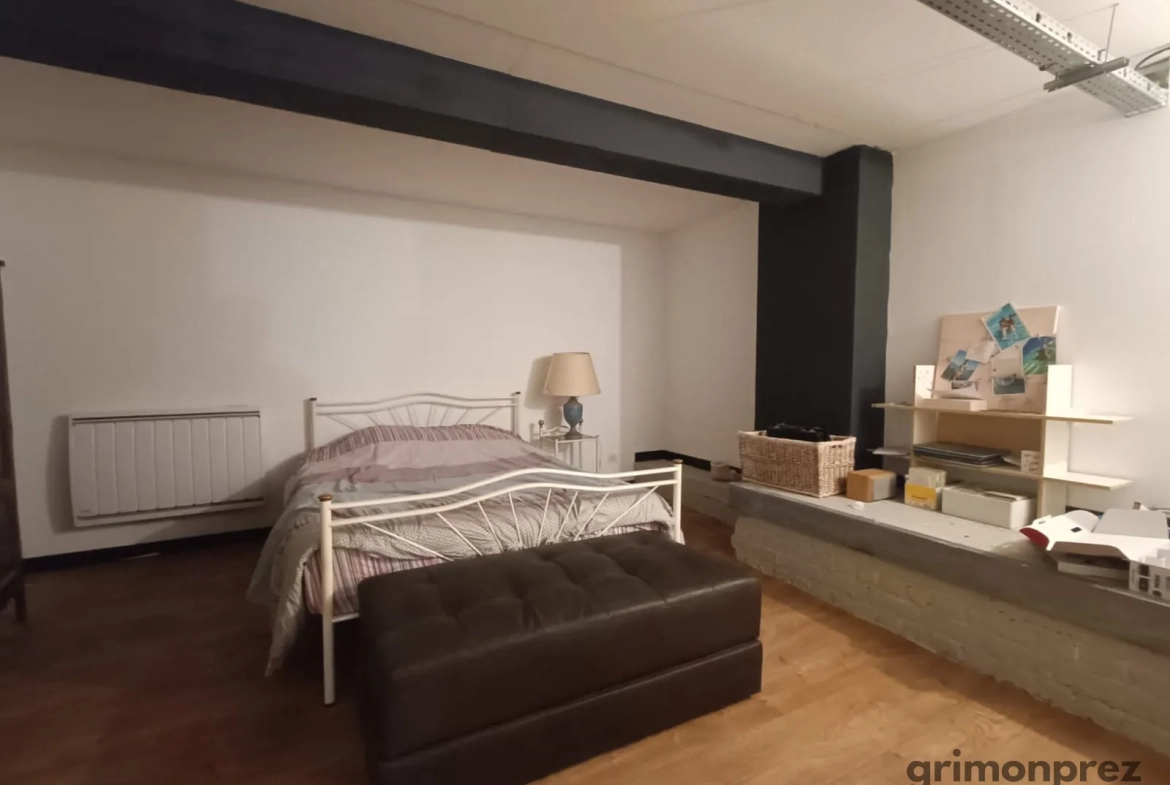 Magnifique loft de 6 pièces avec jardin à Roubaix, vue canal, proche centre-ville 