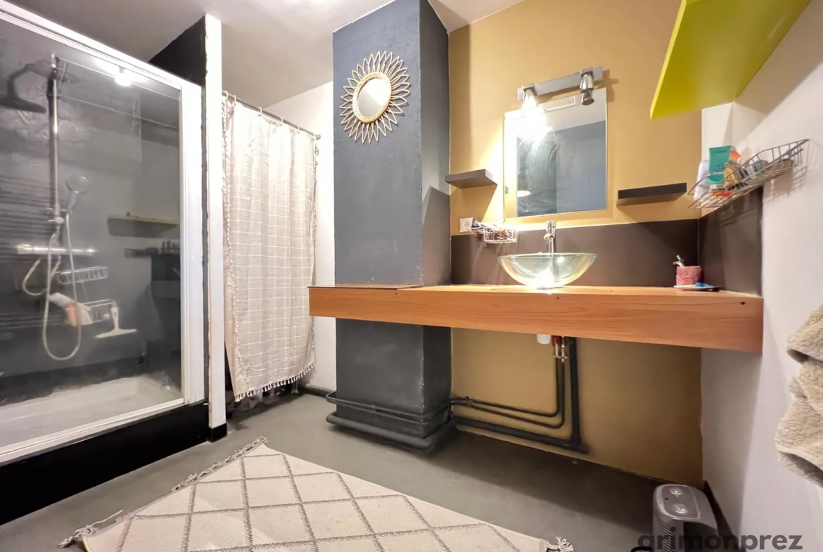 Magnifique loft de 6 pièces avec jardin à Roubaix, vue canal, proche centre-ville 
