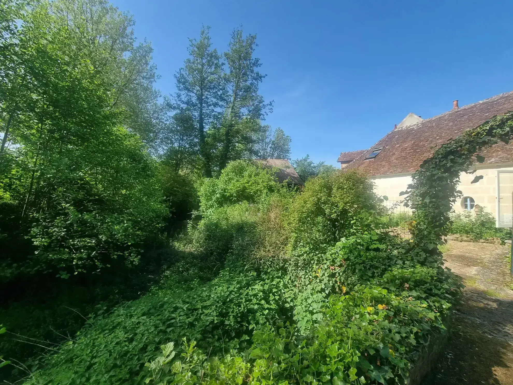 Charmant moulin avec riviere à Mortagne-au-Perche dans un environnement bucolique 