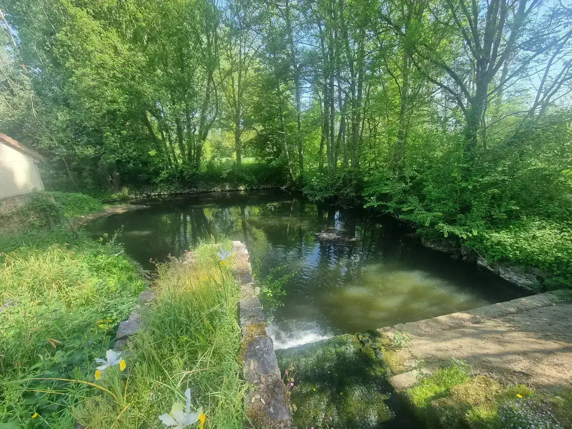 Charmant moulin avec riviere à Mortagne-au-Perche dans un environnement bucolique 