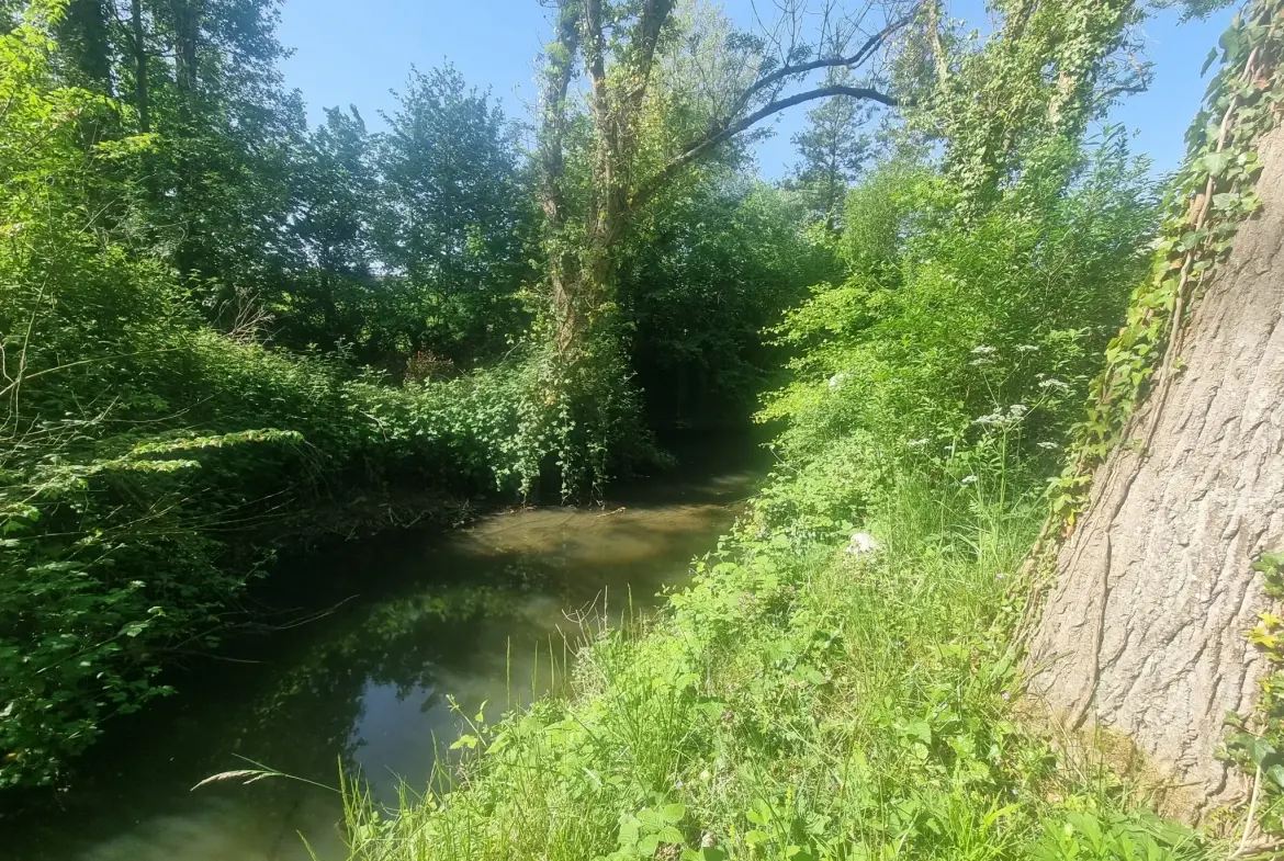 Charmant moulin avec riviere à Mortagne-au-Perche dans un environnement bucolique 