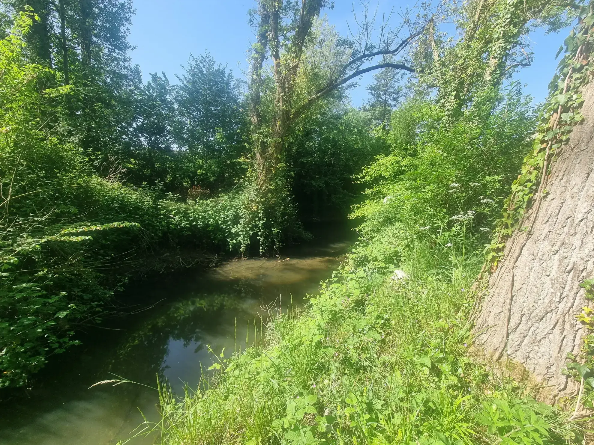 Charmant moulin avec riviere à Mortagne-au-Perche dans un environnement bucolique 