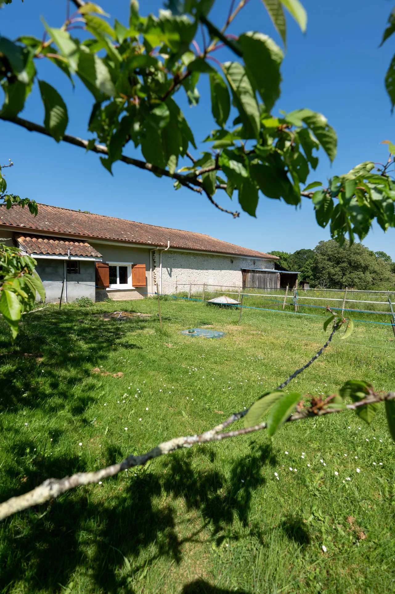 Ferme en pierre rénovée à proximité de Périgueux avec 1,3 hectare et dépendances 