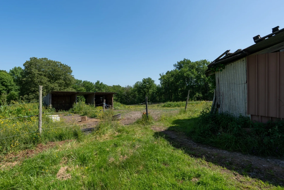 Ferme en pierre rénovée à proximité de Périgueux avec 1,3 hectare et dépendances 