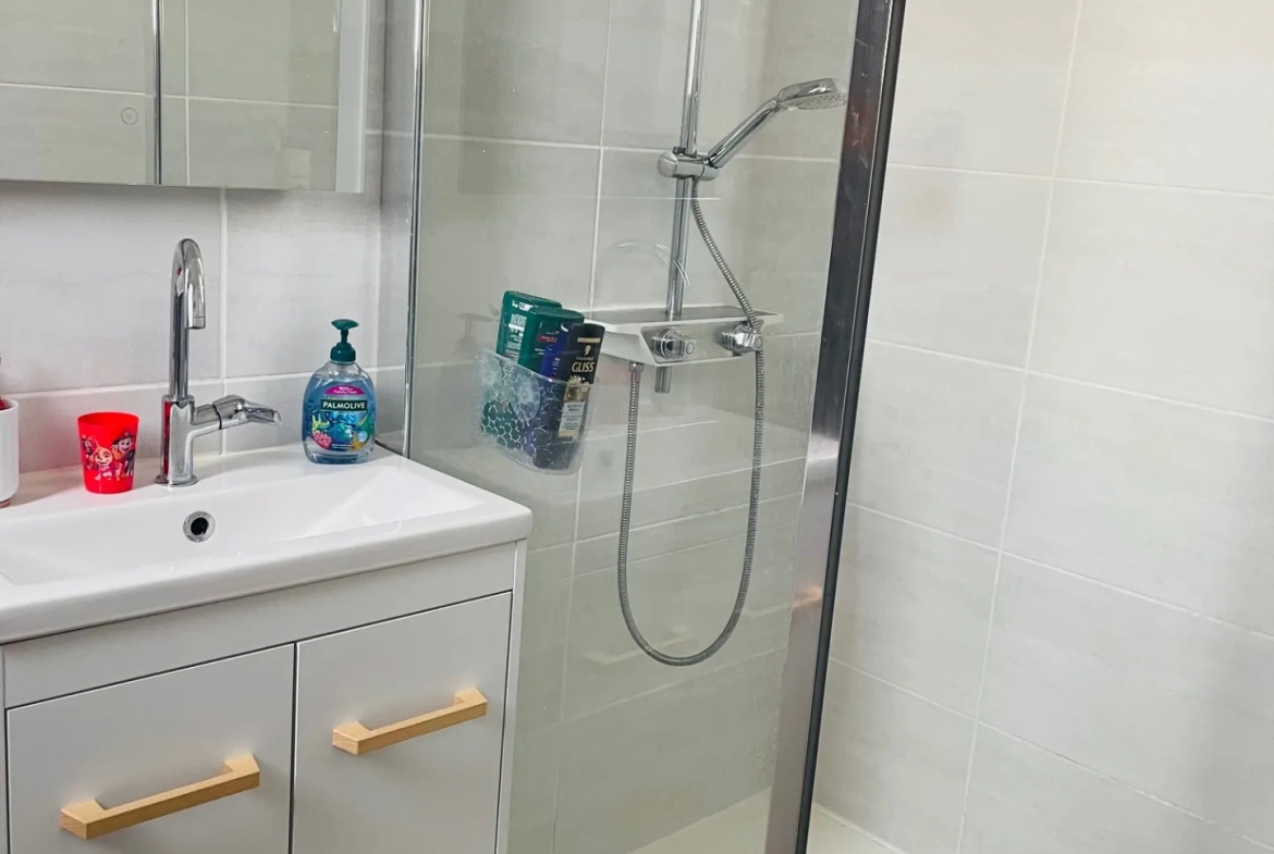Maison de charme 170 m² avec jardin dans le quartier du Palais à Carcassonne 