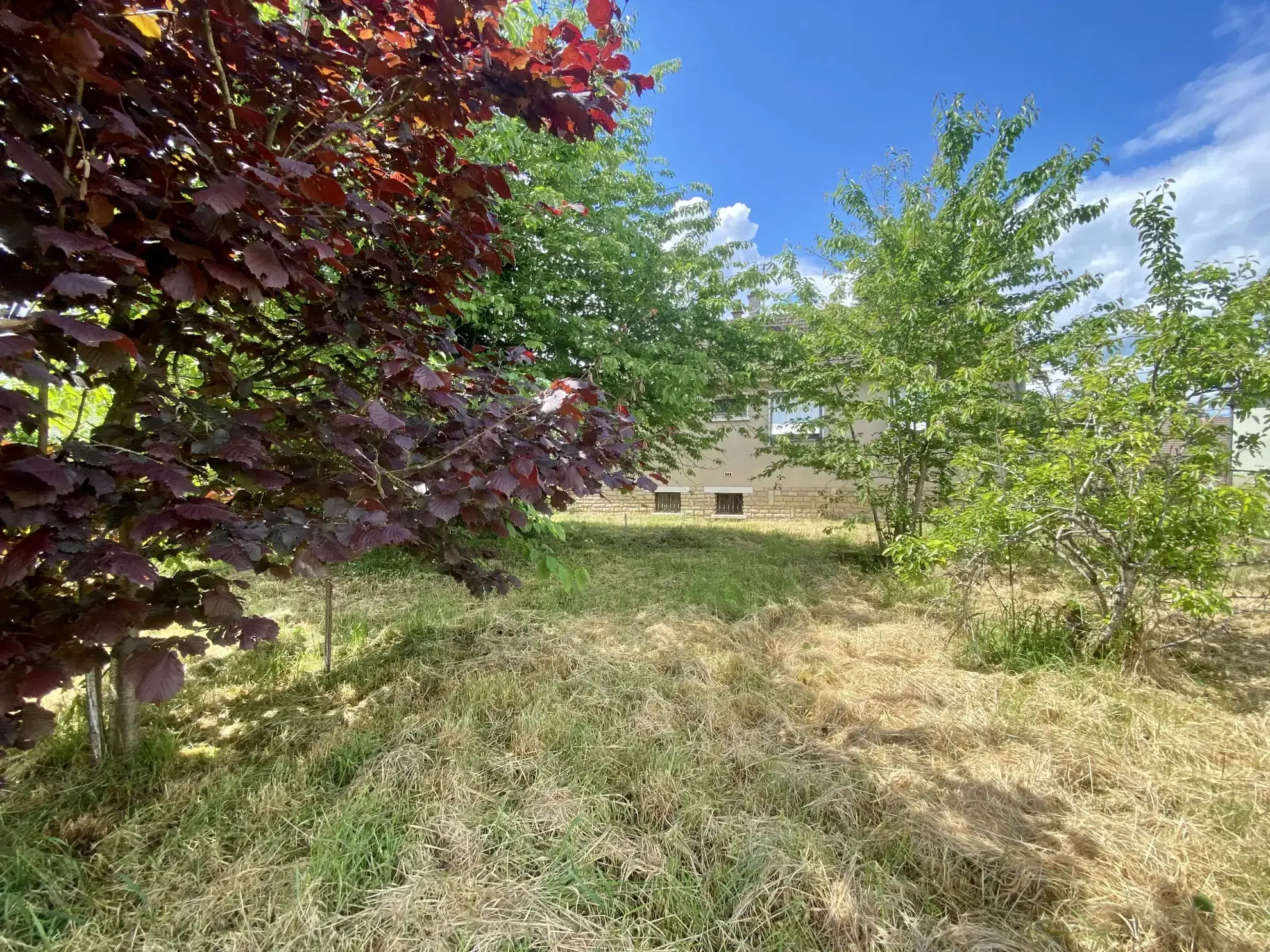 Charmant pavillon avec sous-sol et grand terrain à Cercy la Tour 58340 