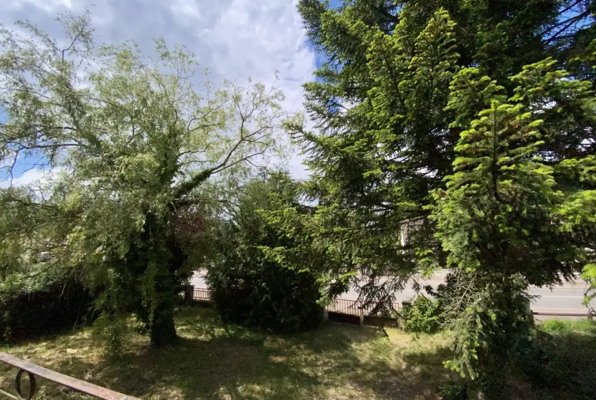 Charmant pavillon avec sous-sol et grand terrain à Cercy la Tour 58340 