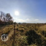 Terrain non constructible avec vigne à Villelongue-dels-Monts de 5110m²
