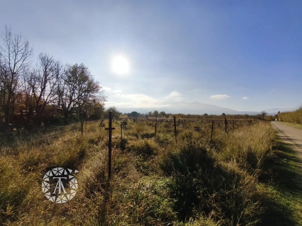 Terrain non constructible avec vigne à Villelongue-dels-Monts de 5110m²