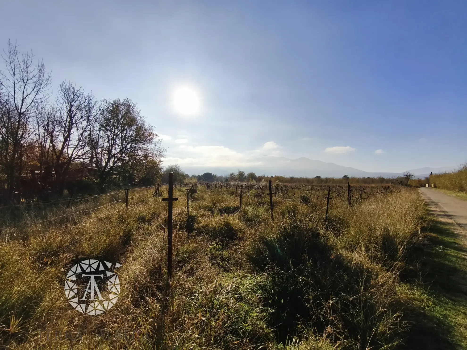 Terrain non constructible avec vigne à Villelongue-dels-Monts de 5110m² 