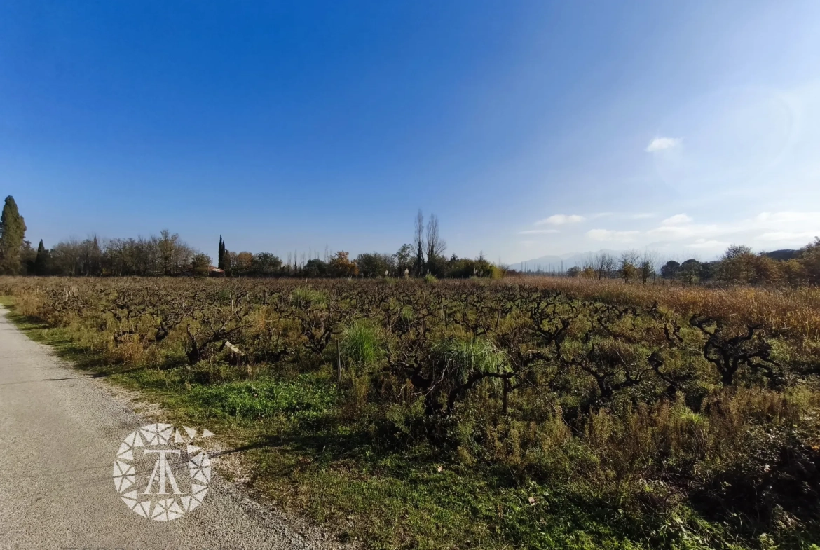Terrain non constructible avec vigne à Villelongue-dels-Monts de 5110m² 