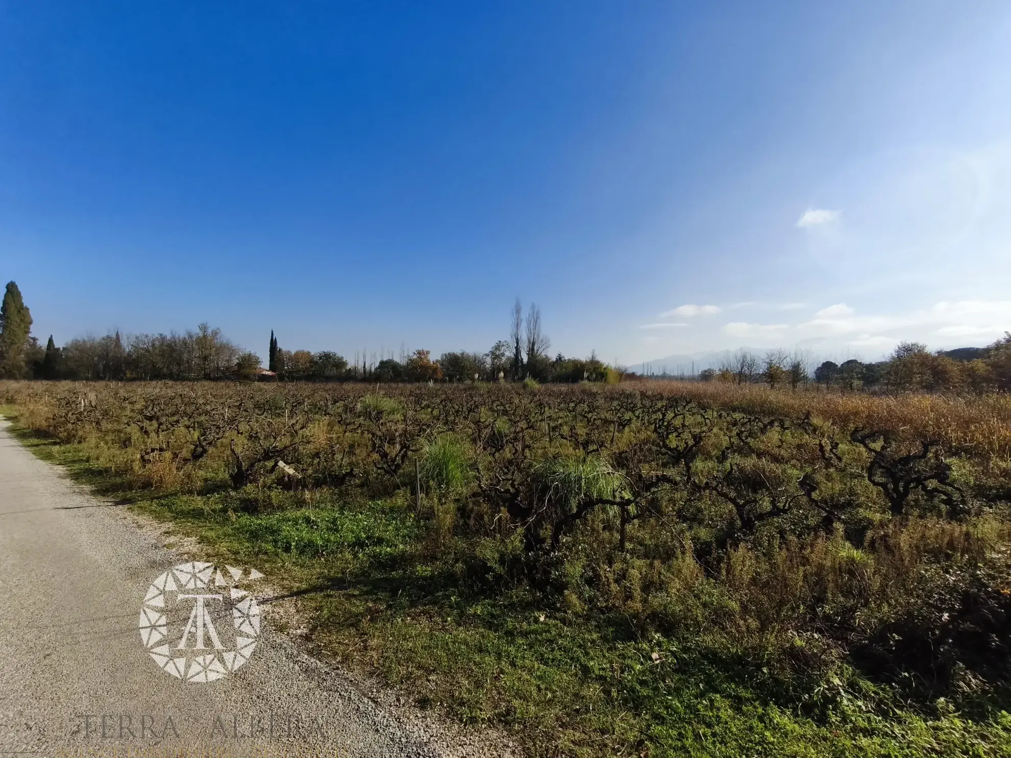 Terrain non constructible avec vigne à Villelongue-dels-Monts de 5110m² 