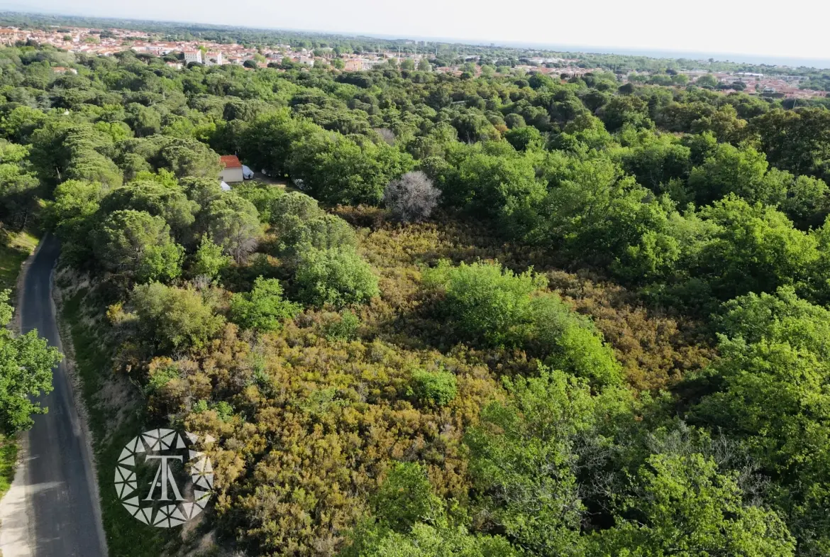 Terrain de loisir à vendre à Argeles-sur-Mer avec vue sur le château de Valmy 