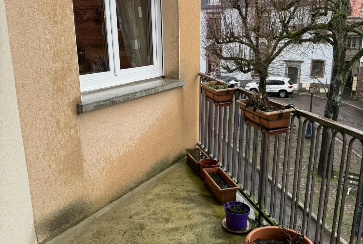 Bel appartement 3 pièces avec balcon à Saverne, construction 2004, proche centre-ville 