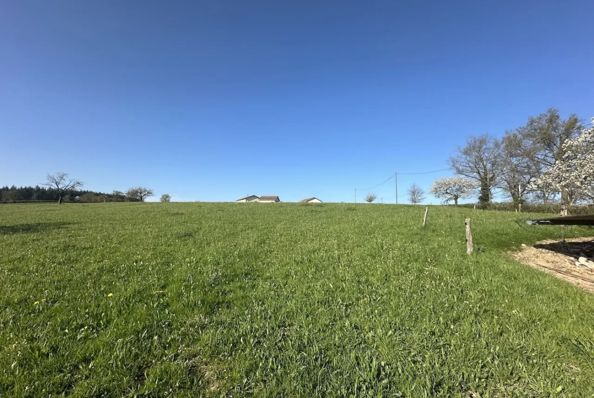 Maison rénovée avec 3 chambres et terrain de 1,7 ha à Chambilly 