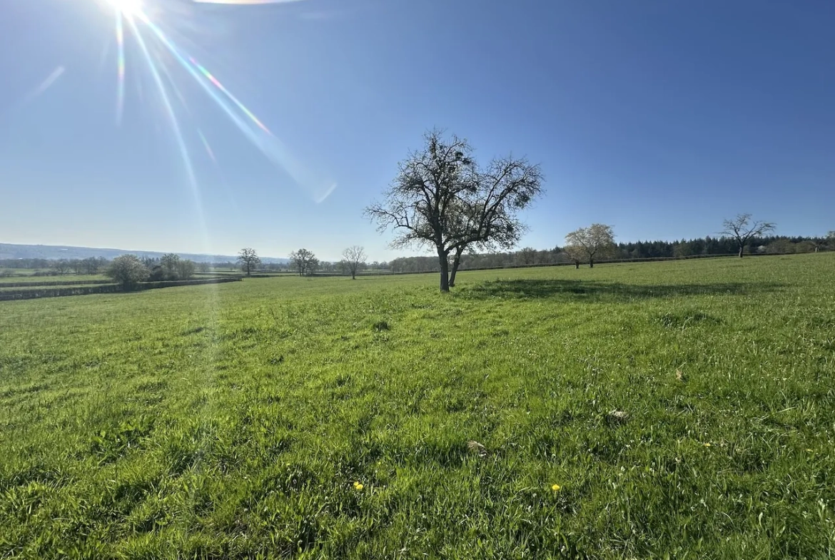 Maison rénovée avec 3 chambres et terrain de 1,7 ha à Chambilly 