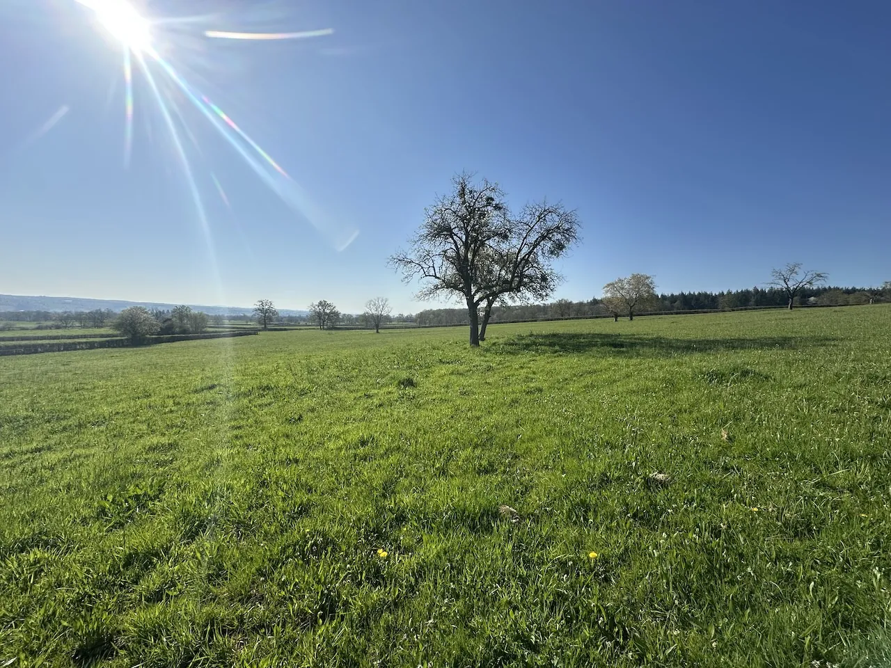 Maison rénovée avec 3 chambres et terrain de 1,7 ha à Chambilly 