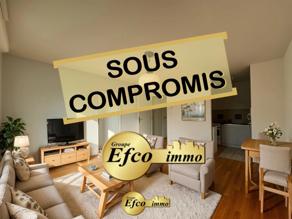 Appartement 2 pièces à Saint-Louis près de la frontière suisse - Investissement et pied-à-terre