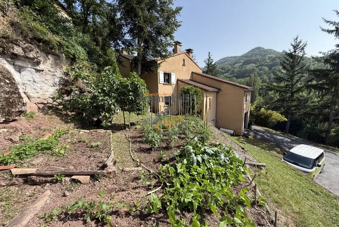 Maison contemporaine à Saint Affrique avec grand terrain et vue campagne 