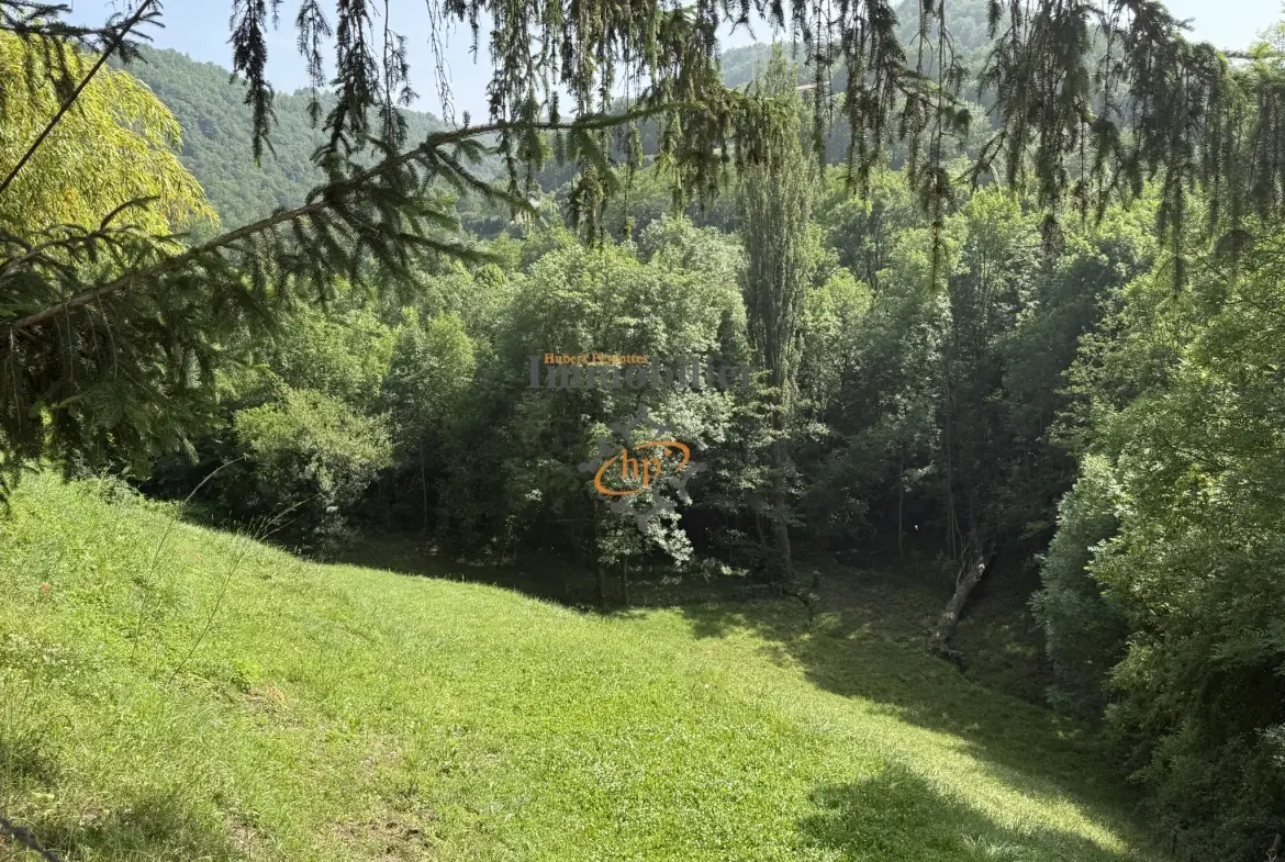 Maison contemporaine à Saint Affrique avec grand terrain et vue campagne 