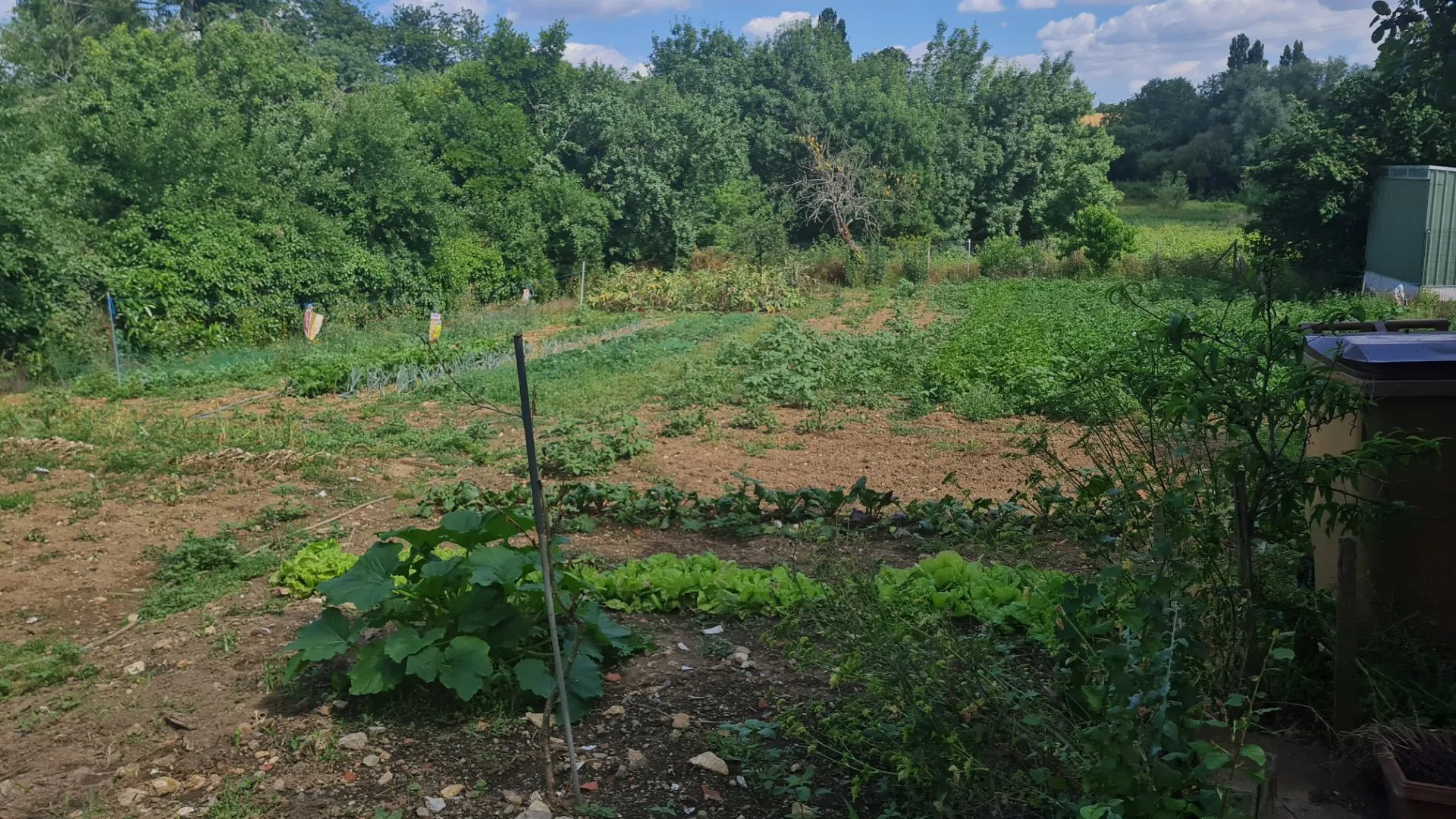 Maison familiale à vendre près de Ste Hermine - 167 m² avec jardin et dépendances 