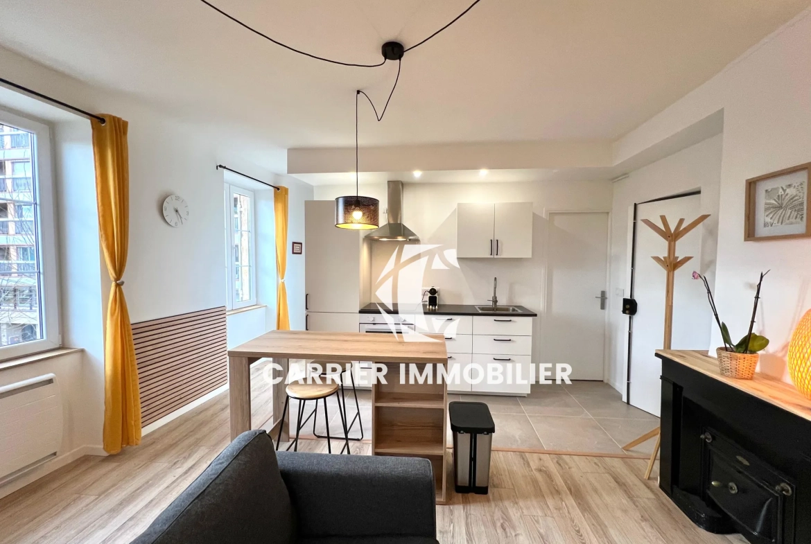 Appartement T2 rénové avec vue exceptionnelle sur le Rhône à Caluire-et-Cuire 