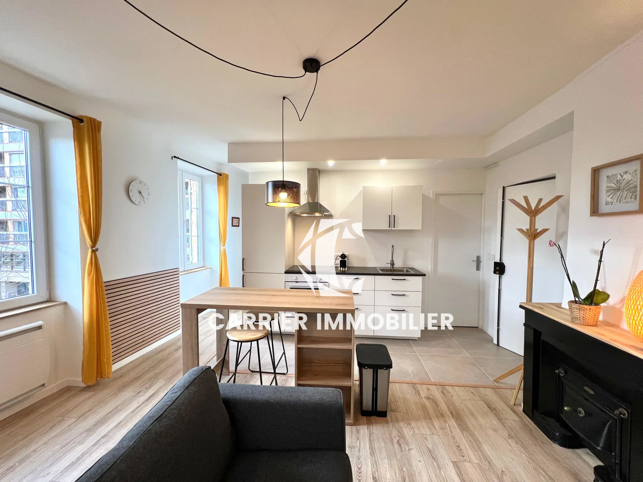 Appartement T2 rénové avec vue exceptionnelle sur le Rhône à Caluire-et-Cuire 