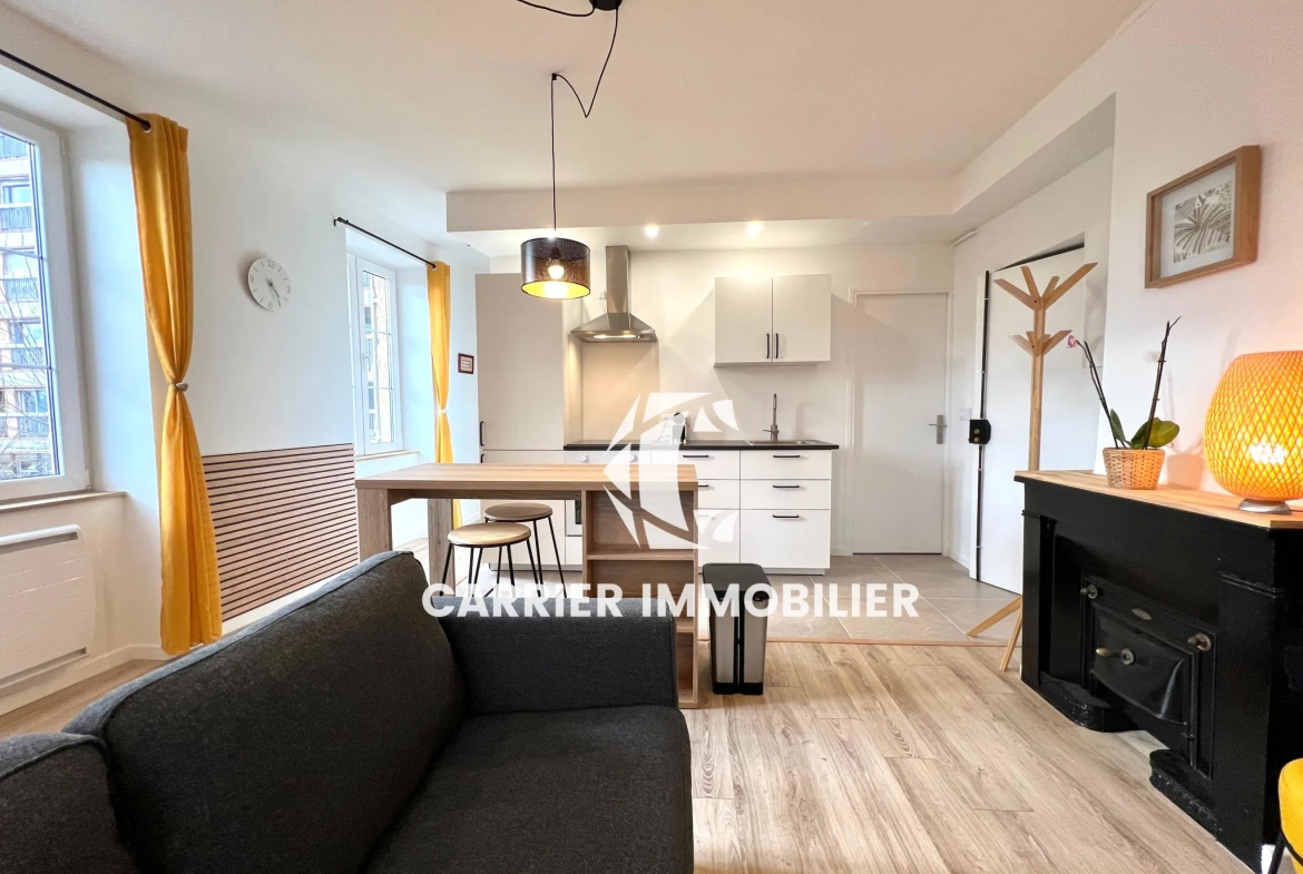 Appartement T2 rénové avec vue exceptionnelle sur le Rhône à Caluire-et-Cuire 