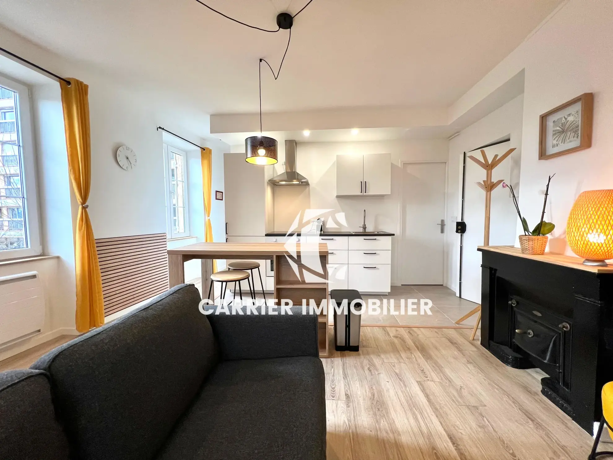 Appartement T2 rénové avec vue exceptionnelle sur le Rhône à Caluire-et-Cuire 