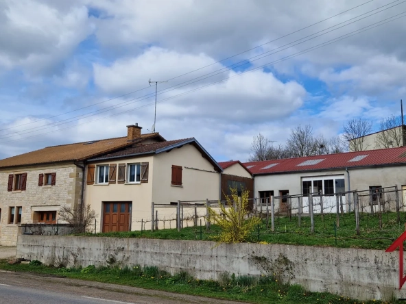 Maison de 258 m2 avec ateliers, hangars et grands espaces à Bourbonne - Projet artisanal ou équestre