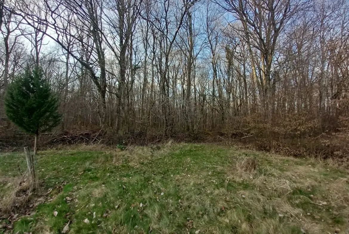 Maison en pierre avec 3 chambres à Guérigny – Proche forêt et commodités 