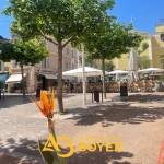Studio 28,89 m² à vendre en centre-ville de Bandol proche plages et port
