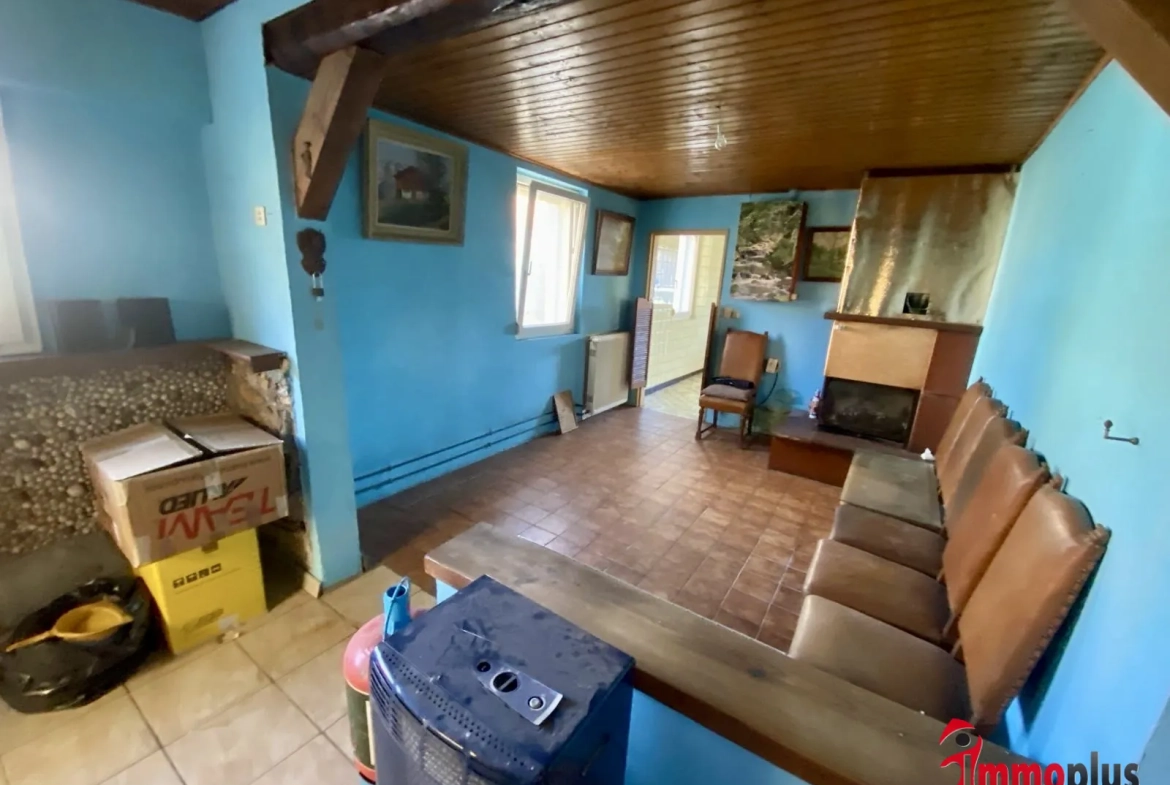 Maison de 65 m² avec terrain divisible à Bartenheim, environnement paisible et potentiel de construction 