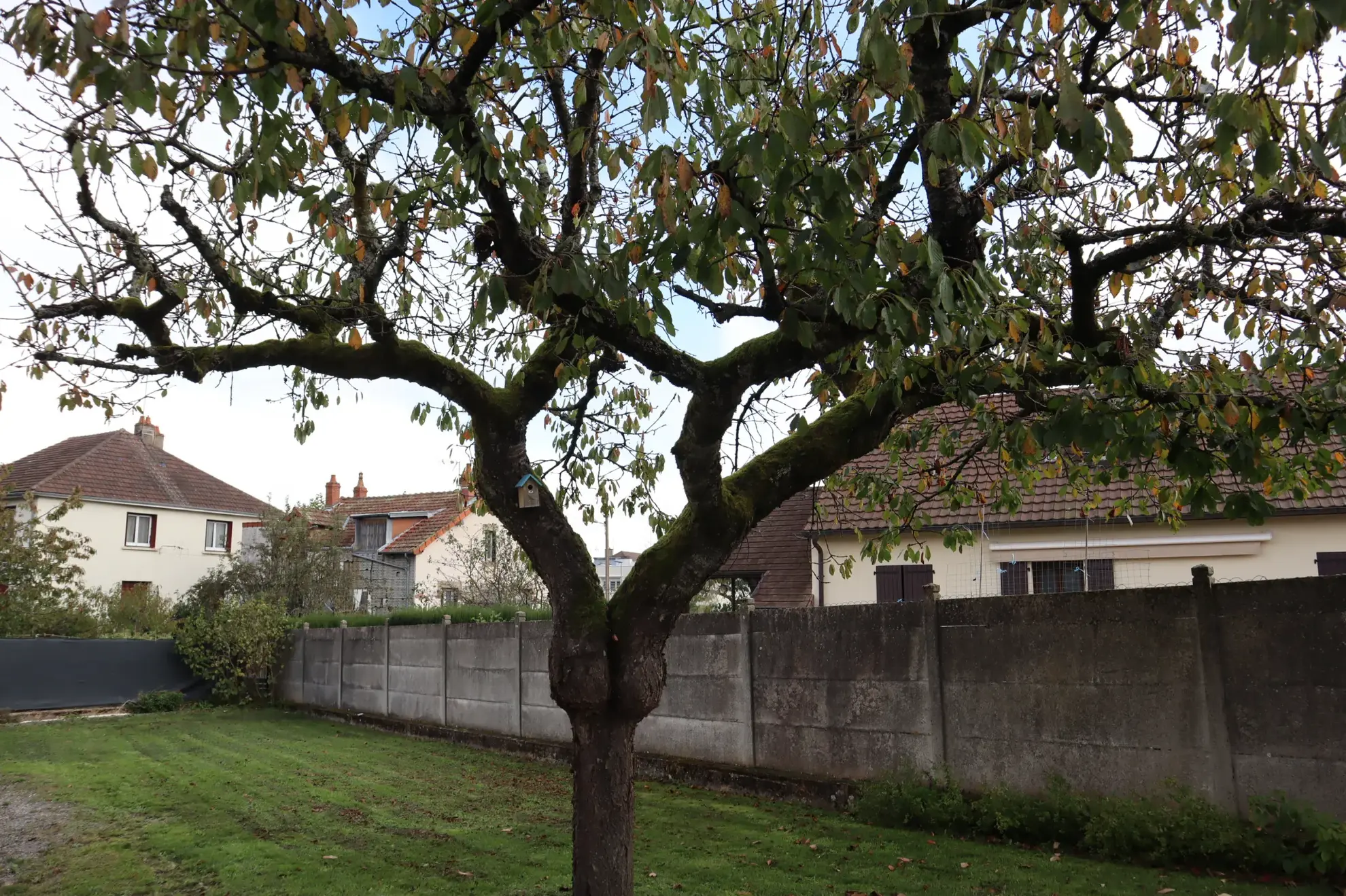Maison à vendre à Autun — 109 m², 3 chambres, jardin clos 