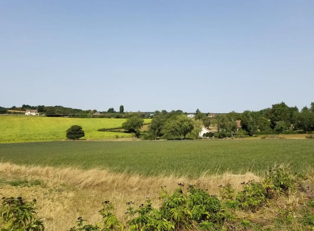 À vendre terrains constructibles à La Fermeté, proche Nevers - Opportunités d'achat de terrains non viabilisés 