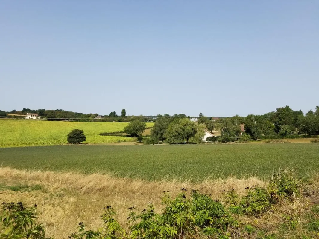 À vendre terrains constructibles à La Fermeté, proche Nevers - Opportunités d'achat de terrains non viabilisés 