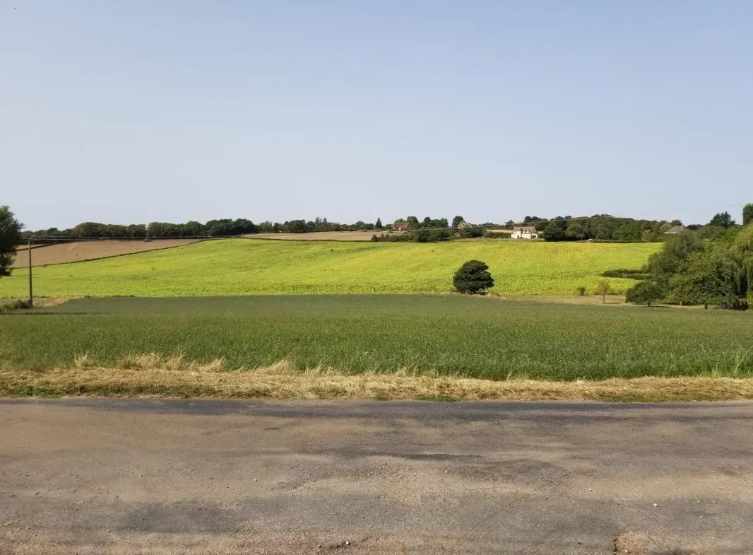 À vendre terrains constructibles à La Fermeté, proche Nevers - Opportunités d'achat de terrains non viabilisés 