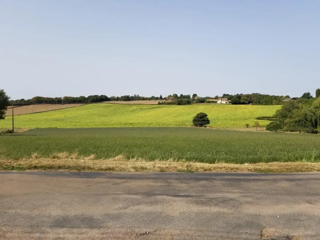 À vendre terrains constructibles à La Fermeté, proche Nevers - Opportunités d'achat de terrains non viabilisés 
