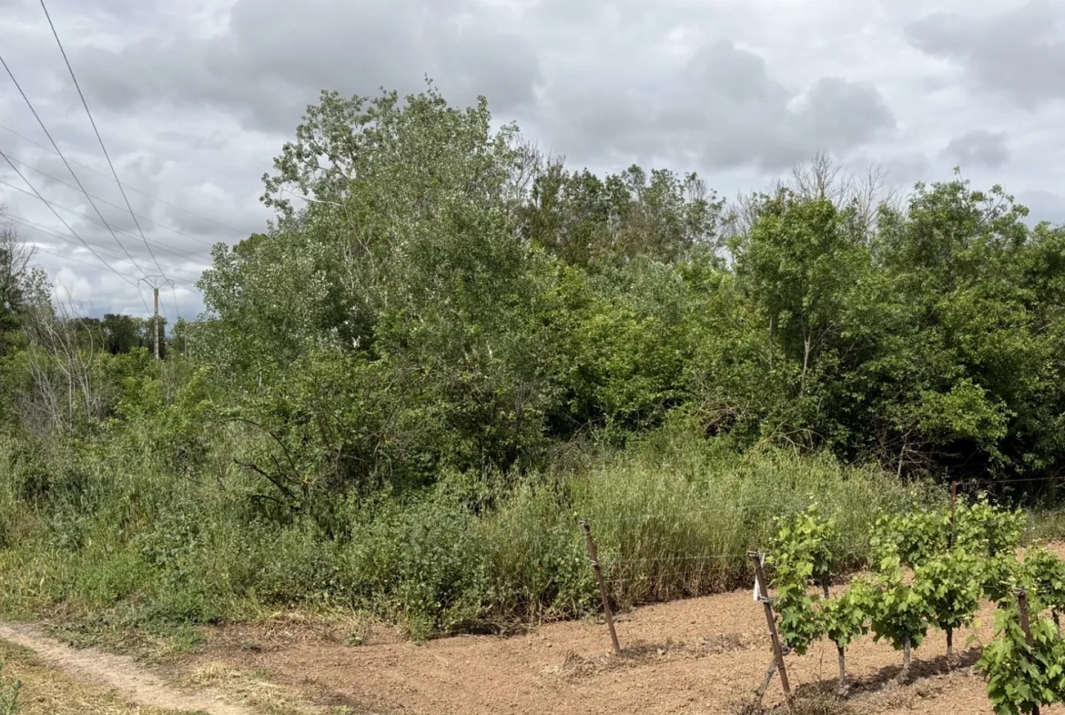 Terrain de loisir à vendre à Florensac - 3 800 m² près des plages méditerranéennes 