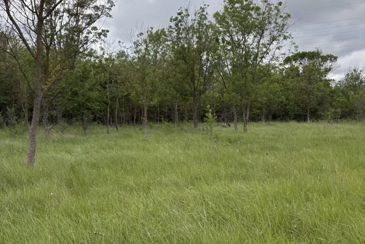 Terrain de loisir à vendre à Florensac - 3 800 m² près des plages méditerranéennes 