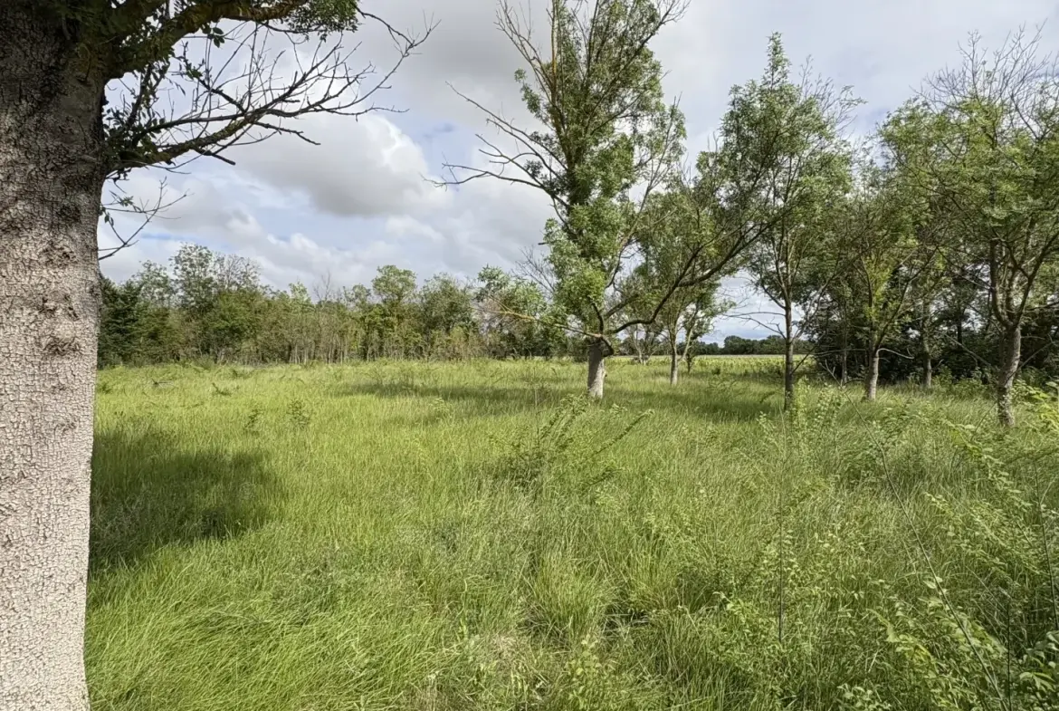 Terrain de loisir à vendre à Florensac - 3 800 m² près des plages méditerranéennes 