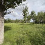 Terrain de loisir à vendre à Florensac - 3 800 m² près des plages méditerranéennes